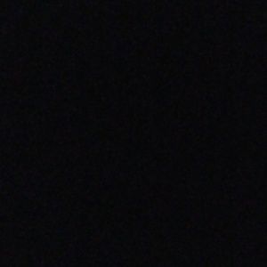 Meet your Posher, Kelli